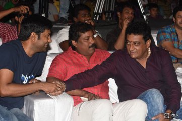 Supreme Movie Success Meet
